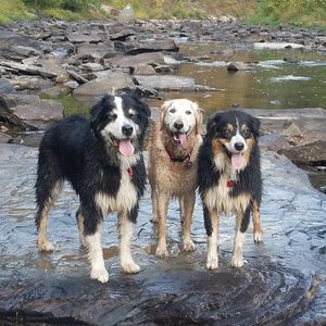 Meet your Posher, Carrie